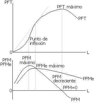 producción