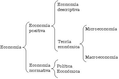 divisiones de la economía
