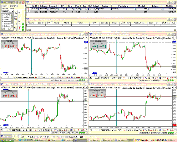 plataforma forex etoro